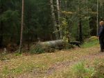 En kätting dras igenom plåtröret för att bedömma Lexis ljudkänslighet. Hon går fram och tittar nyfiket och hon lämnar det helt oberörd.